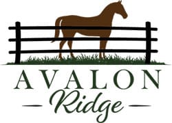 brown horse behind fence with words Avalon ridge beneath